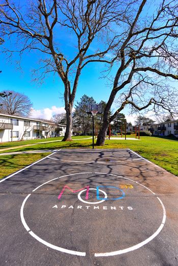 a basketball court in a park with trees